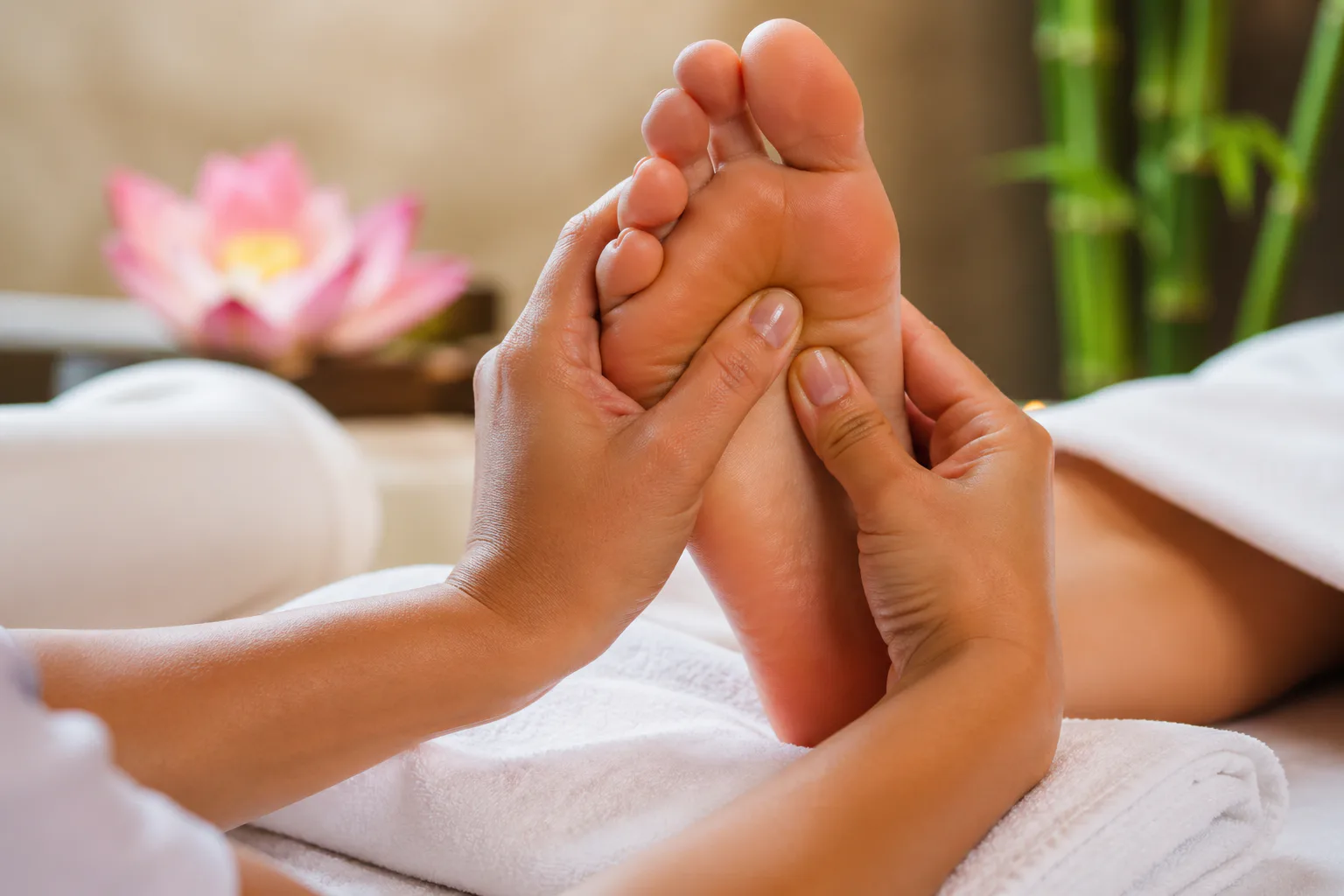 Reflexologia Podal com Ana Márcia em São José do Rio Preto